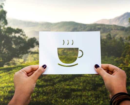 Kopje koffie op een A4-blad in de natuur – geniet van de gezondheidsvoordelen van je dagelijkse kopje koffie met antioxidanten en energieboost