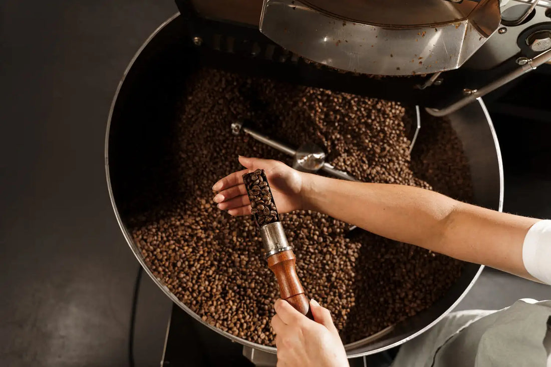 Verse koffiebonen vers gemalen in de eigen branderij van De Koffiemeester in Schiedam